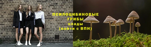 сатива Белокуриха