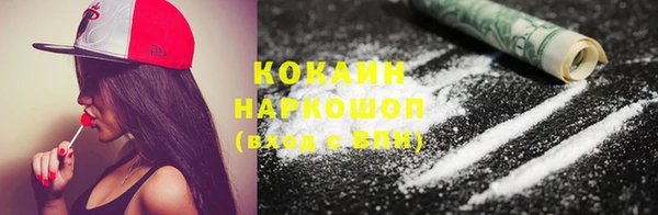 сатива Белокуриха