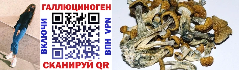 Галлюциногенные грибы MAGIC MUSHROOMS Кодинск